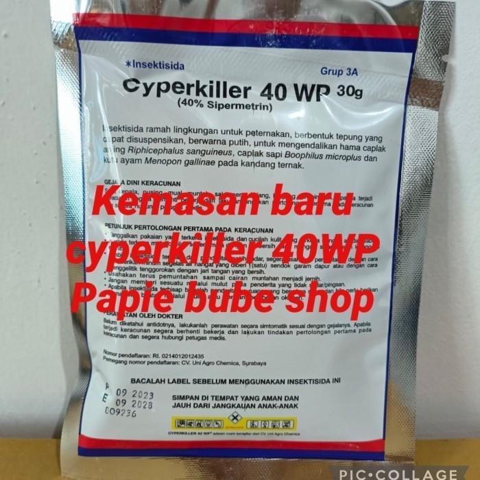 Cyperkiller 40 wp obat pembasmi hama kutu serangga walet asli KOREA