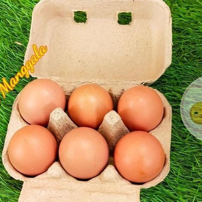 R Egg 6 Lubang Box Telur Karton 50 Pcs