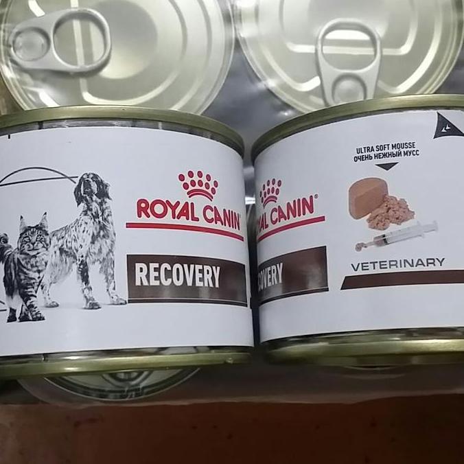 BEBAS ONGKIR - GROSIR Royal Canin Vet Recovery 195 Gram