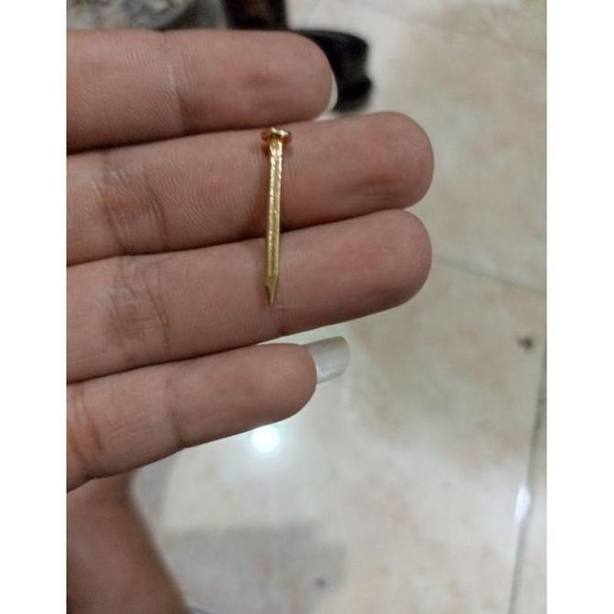 paku emas rajahan lawasan