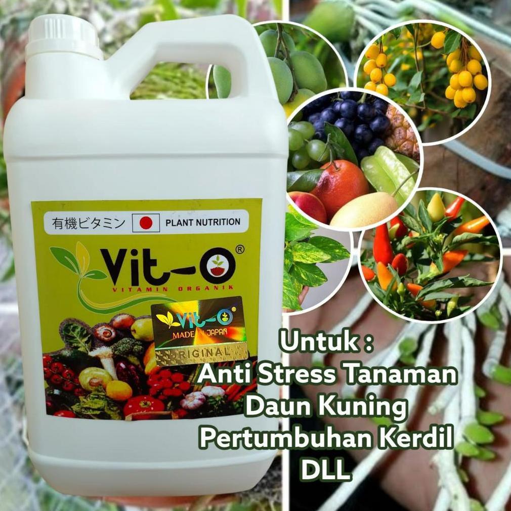 Pupuk Vit O Bahan Organik Plant Nutrition 5 Liter Untuk Semua Tanaman