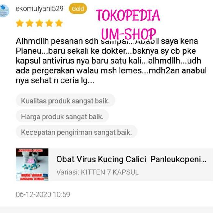 Zesukei- Obat Antivirus Kucing Calici Distaper Virus Panleukopenia