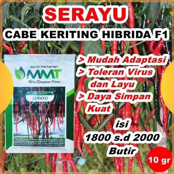 Benih Cabe Merah Keriting Serayu F1 10 Gr Bibit Cabai Kriting MMT