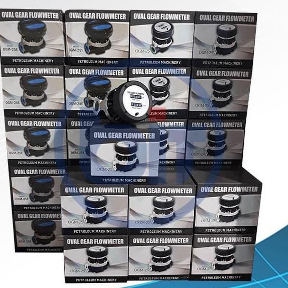 Flow Meter OGM DN 25, Flow Meter Minyak Solar 1 inch
