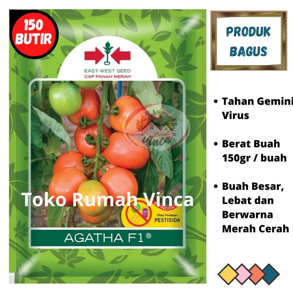 Benih Bibit Tomat Buah Super Besar AGATHA F1 150 Biji Cap Panah Merah