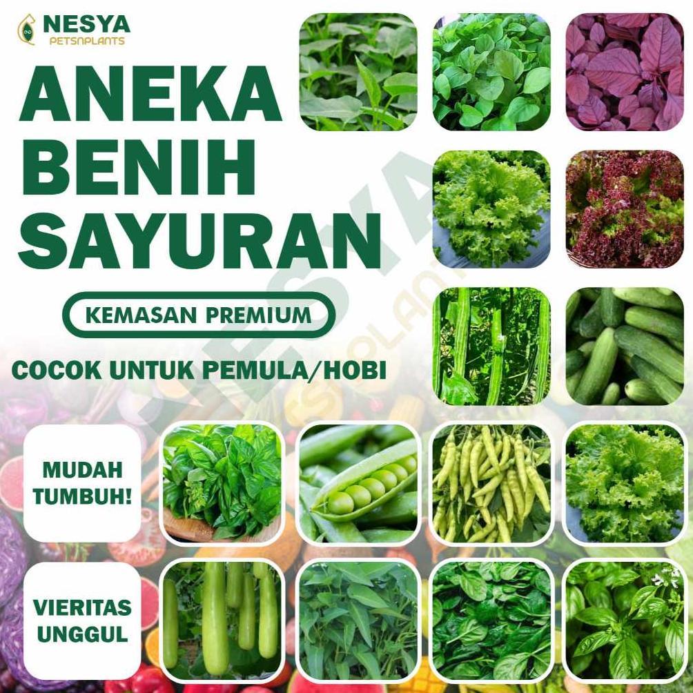 Paket Benih 27 Jenis Sayur Paket Lengkap Benih Sayuran Premium - Benih Sayur