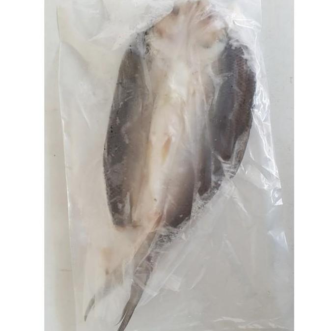 IKAN BANDENG TANPA DURI 350G | IKAN BANDENG CABUT DURI | HALAL FROZEN