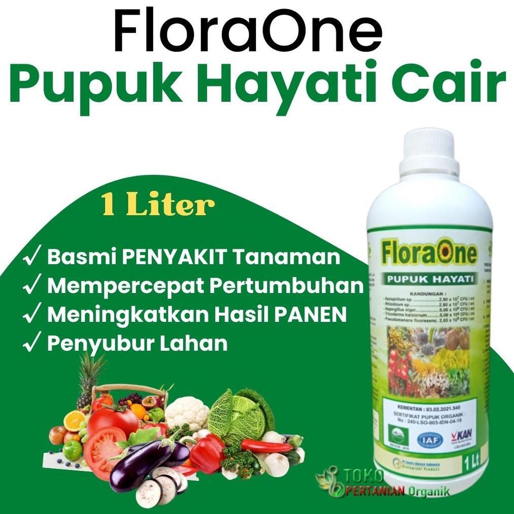 Plant Growth Promoting Rhizobacteria (pgpr) Sebagai Pupuk Cair Organik, Pupuk Pgpr Rhizobium Sp