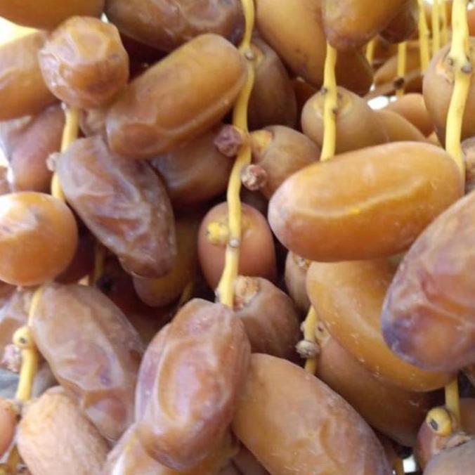 Buah Kurma Tunisia Tangkai