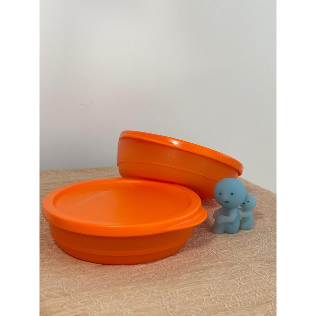 TUPPERWARE summer go round small