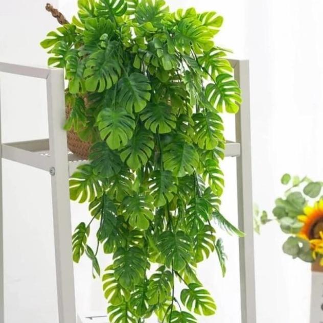 Daun juntai monstera bambu daun rambat gantung artificial daun hias