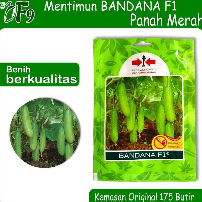 Benih Bibit Timun Bandana Mentimun Lalap lalab 175 Biji Cap Panah Merah