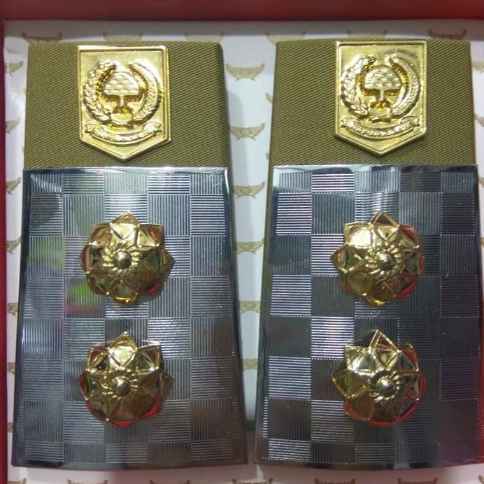 Pangkat bupati dan wakil bupati PDU