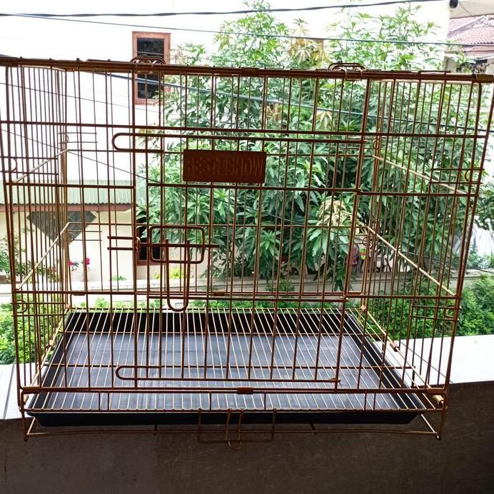 best in show kandang Lipat p c 02