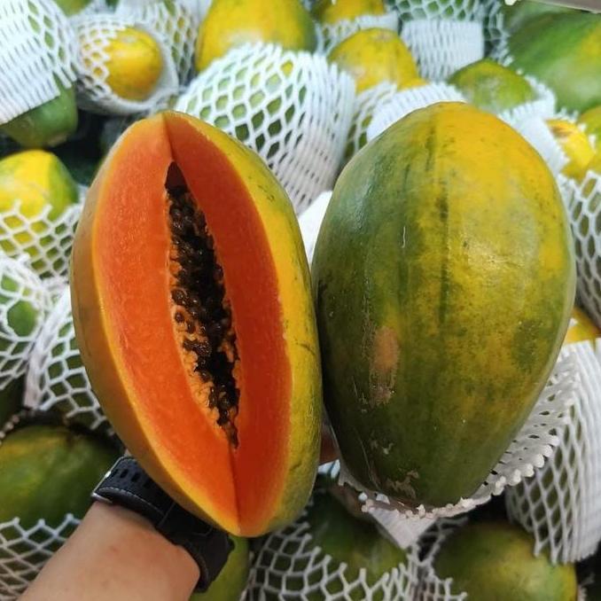 Frutting- Pepaya Hawai | Pepaya Hawai Madu