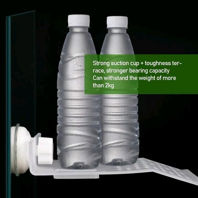 BASKING KURA2 TEMPAT BERJEMUR KURA KURA BRAZIL