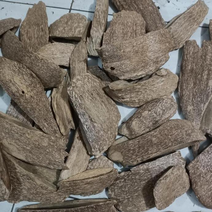 kayu gaharu super malacensis 100gram