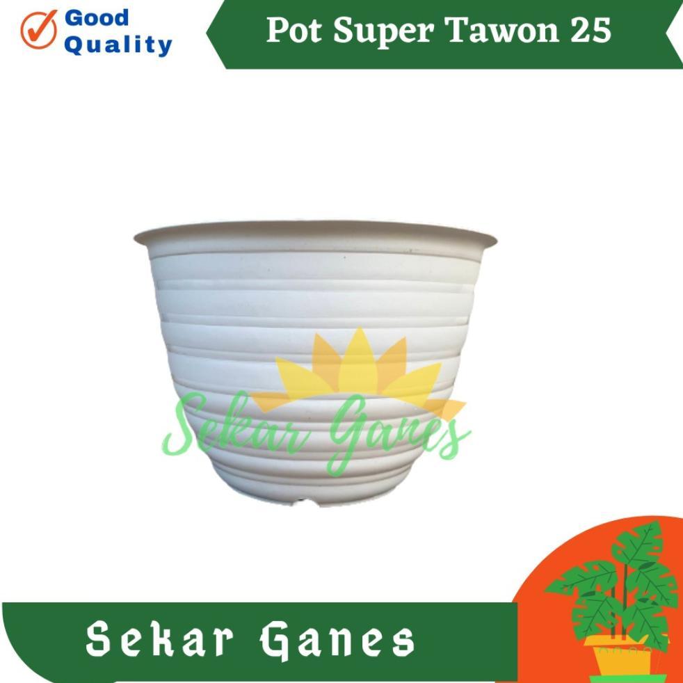Ready 12pcs / pot tawon 25 putih perlusin Grosir 1/2 lusin pot bunga model tawon ukuran 25 isi 12 pc