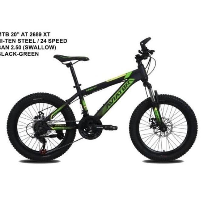 Terlaris Sepeda Anak Mtb 20' Aviator 2689 Xt