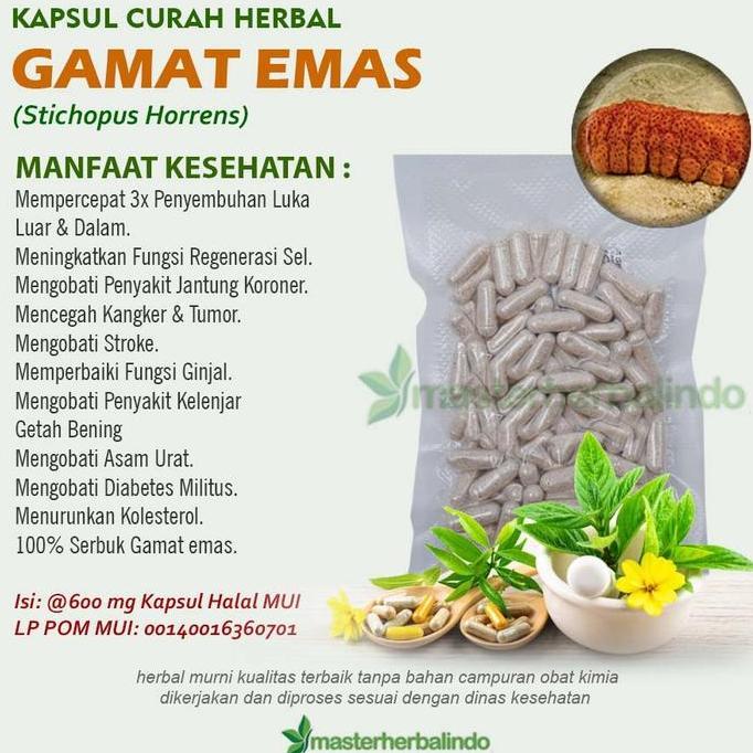 Pastisehat- Kapsul Curah Gamat Emas Anti Aging Kesuburuan Pria Kanker 100 Capsul