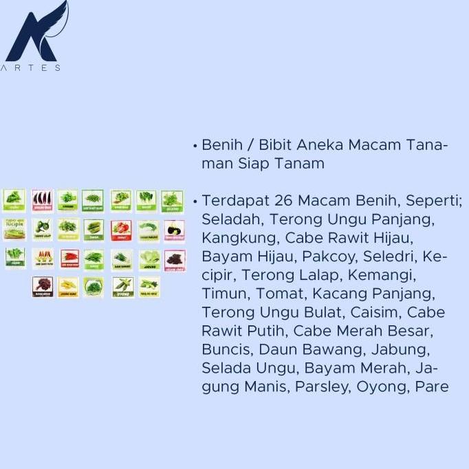 BENIH RENCENG Siap Tanam Sayuran-Buah-Lalapan Bibit Hidroponik-dll