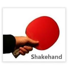 Yasaka Extra Special FL original JTTA bat tenis meja Pingpong Made in Sweden Murah Berkualitas