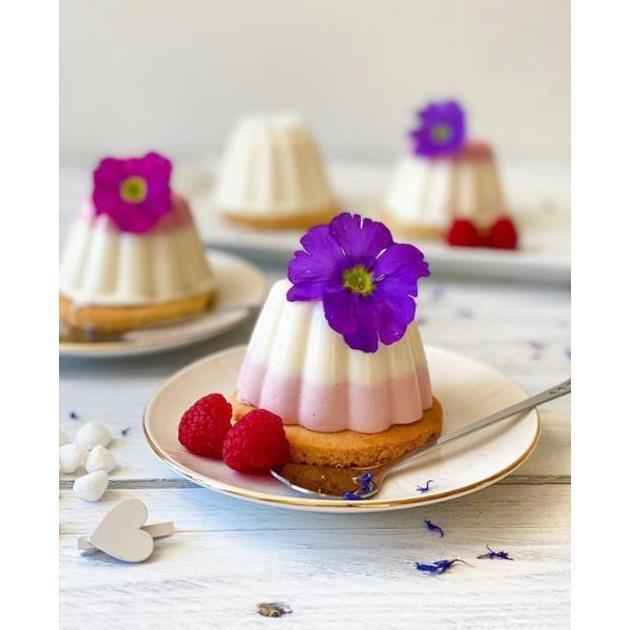 Cup Jelly 0951 Isi 12Pcs / Cetakan Green Leaf 0951 / Cetakan Puding Jelly Plastik