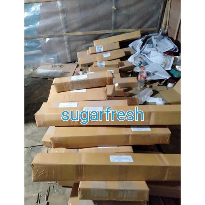 Bibit belimbing wuluh - Pohon belimbing wuluh