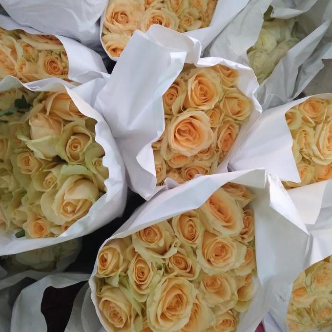 Bunga Mawar Bandung Lokal 1 Ikat Isi 20 Tangkai Asli Segar untuk Buket Dekorasi Harga Fleksibel Peng