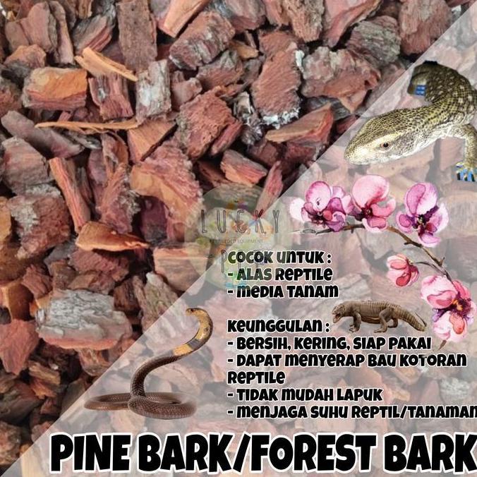 Grdx- Forest Bark Pine Bark Kulit Kayu Pinus Cemara Media Tanam Anggrek