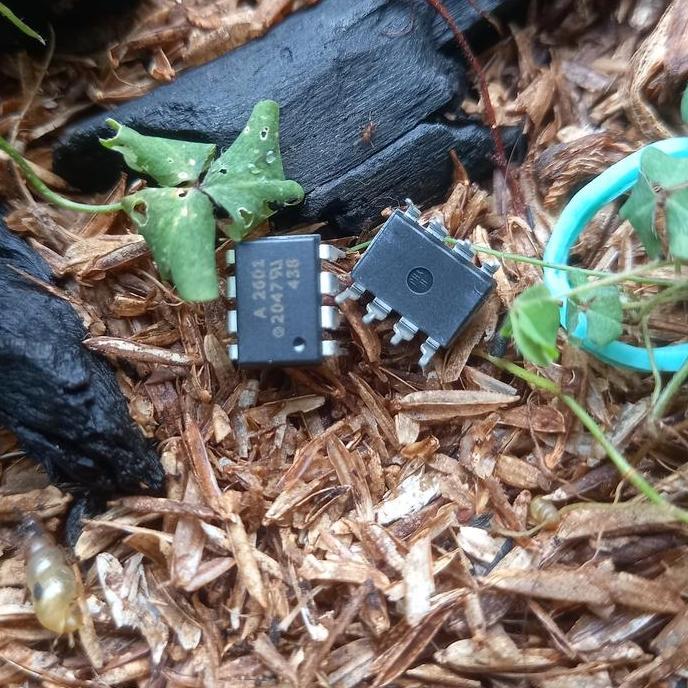 Volwe- A2601 Hcpl2601 Orginal