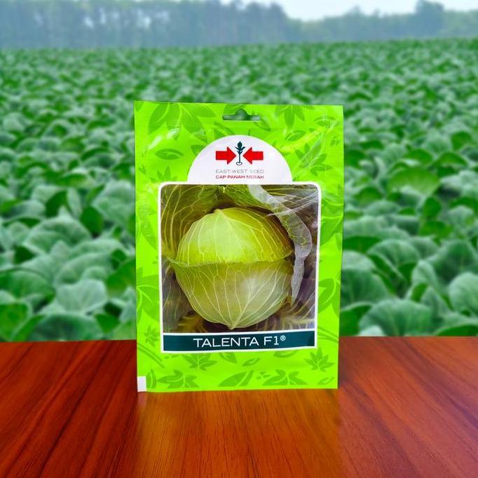 Grdx- Benih Kubis Talenta F1 Bibit Kol Hijau 400 Butir Cap Panah Merah
