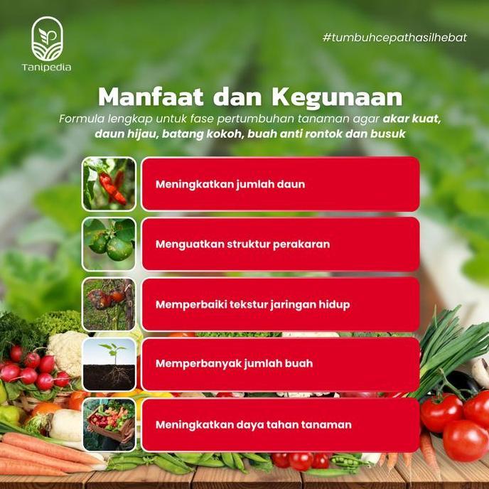 Grdwix- Manohara Buah - Pupuk Kcl Cair - Untuk Buah Umbi Padi Dan Sayur - 1 Liter