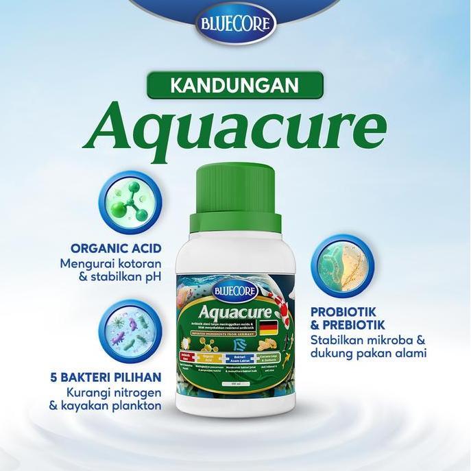 Fishboy- Bluecore Aquacure Antibiotik Alami Ikan Solusi Mencegah Bakteri Dan Virus (Cocok Untuk Berb