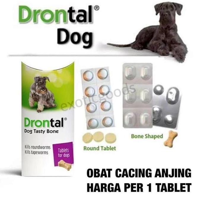 Willipic- Drontal Dog 1 Tablet Obat Cacing Anjing Obat Anjing Drontal Anjing Drontal Plus Cacing Anj