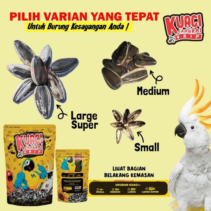 Bridwoi- Kuaci Sangrai Super Jumbo Untuk Burung Kakatua Macaw Afgrey Amazon