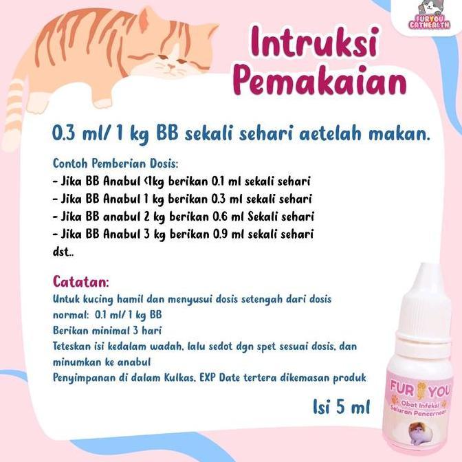 Bridwoi- Furyou Obat Pup Berdarah Dan Berlendir Anabul Obat Infeksi Pencernaan  Pup Berdarah Kucing