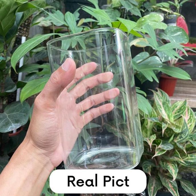 Vas Kaca Emerald - Vas Bunga Kaca Bening Kotak Vas Bunga Kotak Pot (TERBAIK) (TERBARU) (TERMURAH)