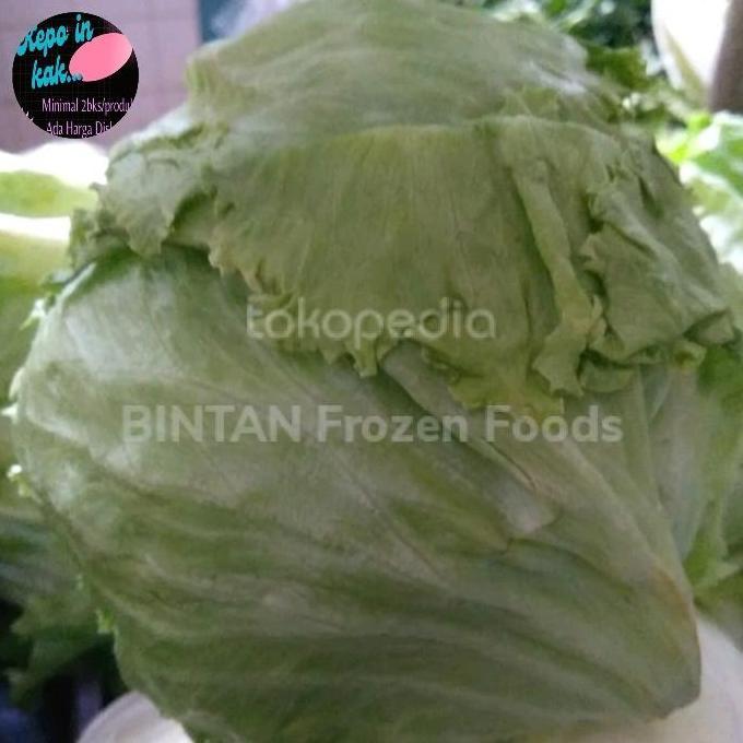 Bnbx- Letuce Head Sayuran Segar Fresh