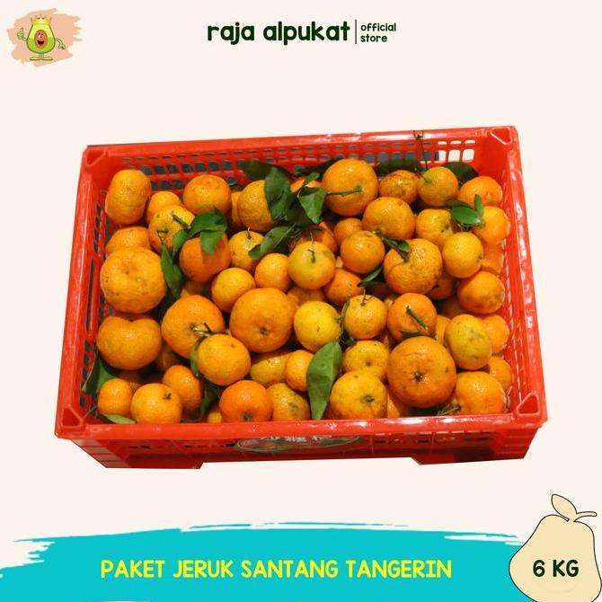 Bnbx- Grosir Jeruk Santang Madu Tangerine I Birma (Per Box/ Keranjang)