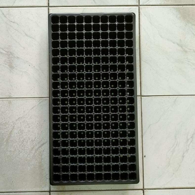 Bisa Cod Tray Semai 200 Lubang Benih Tebal 1 Mm Pot Tray Seedlling Tray Trai Semai Benih Semua Tanam