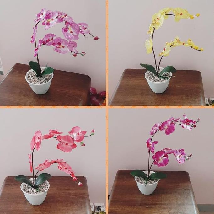 bunga anggrek hias plastik angkrek anggrek bulan vas bunga hiasan meja