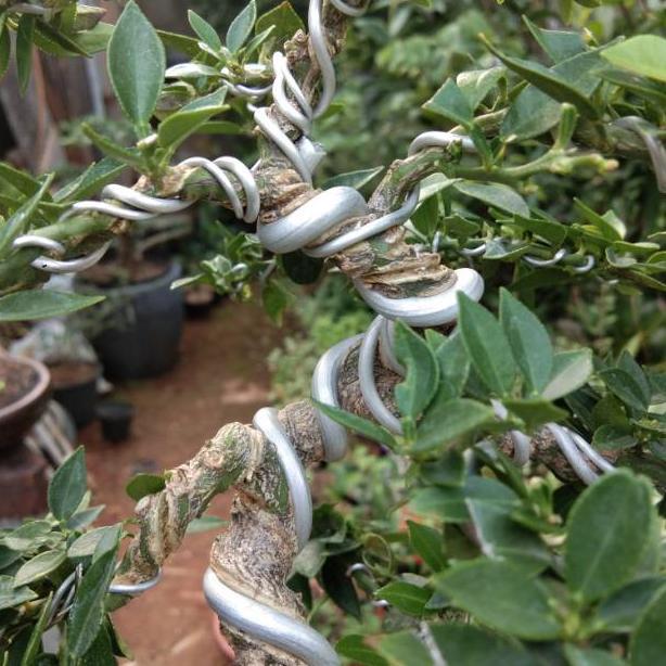 Promo Cod Kawat Bonsai Alumunium Eceran 5Meter Ukuran 1Mm ><