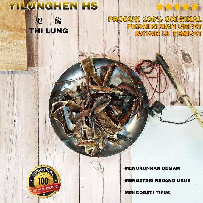 Ready  Thi Lung Cacing Tanah Lumbricus Rubellus Kering 1 Liong Obat Tifus