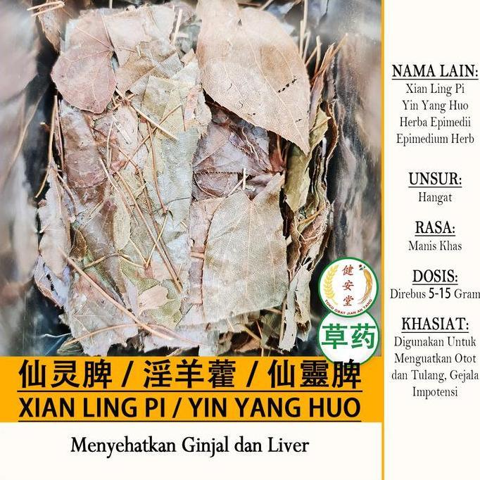 Produk Terbaik] XIANLING PI - YIN YANG HUO - Herba Epimedii - Herbal TCM Menyehatkan Ginjal-Liver