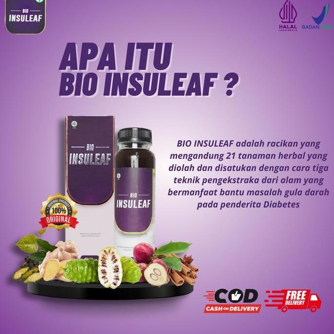 3 Botol Bio Insuleaf Official Halal Bio Insuleaf Herbal Insulin Membantu Mengontrol Gula darah
