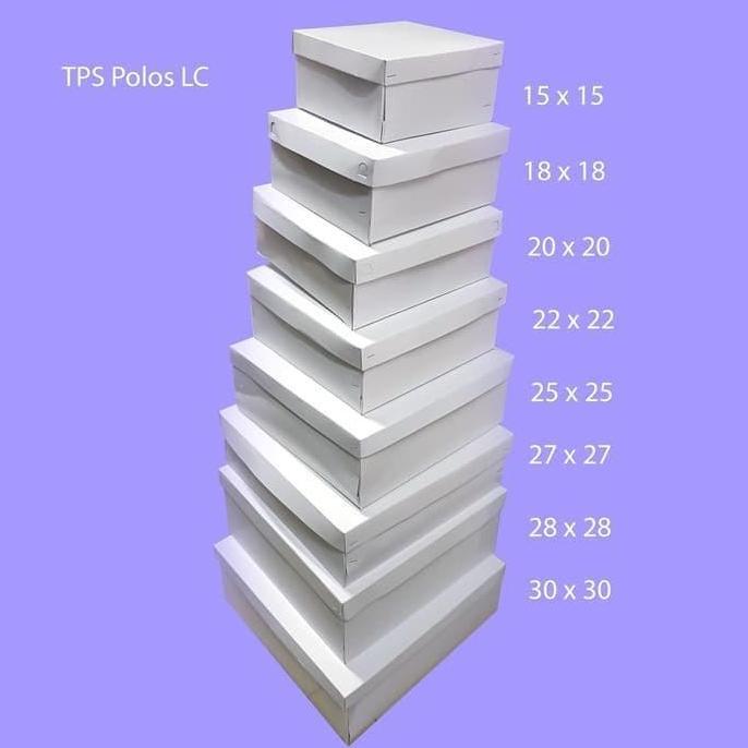TPS Polos 22x22 x8 50 pc Kotak Dus Nasi Katering LC 22 x 22