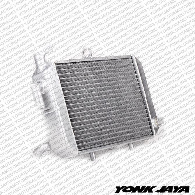 BEBAS ONGKIR - RADIATOR RACING AAI COOLING EXPERT XMAX