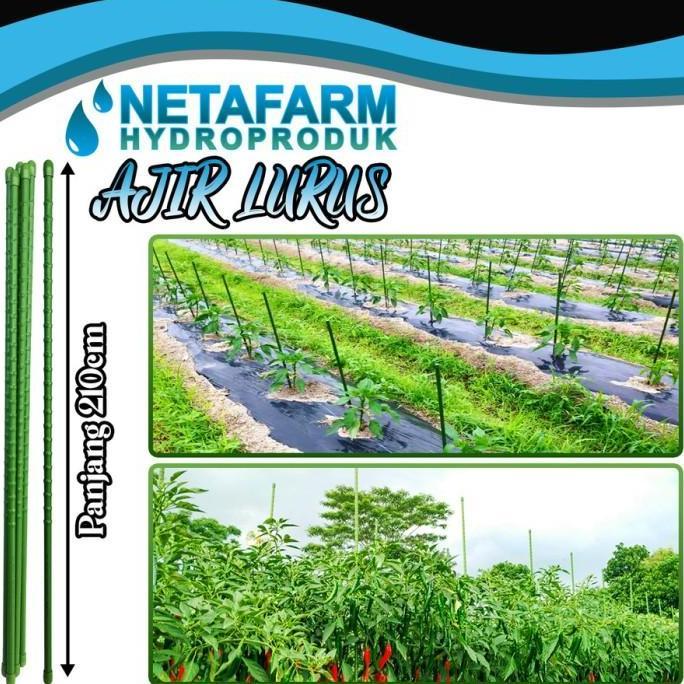 Ajir Modern Tanaman - Plant Stake - 16mm x 210cm