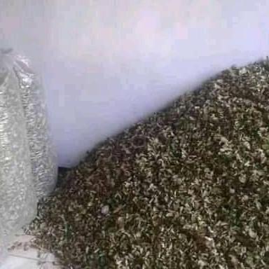 Daun bidara kering 1 kg super